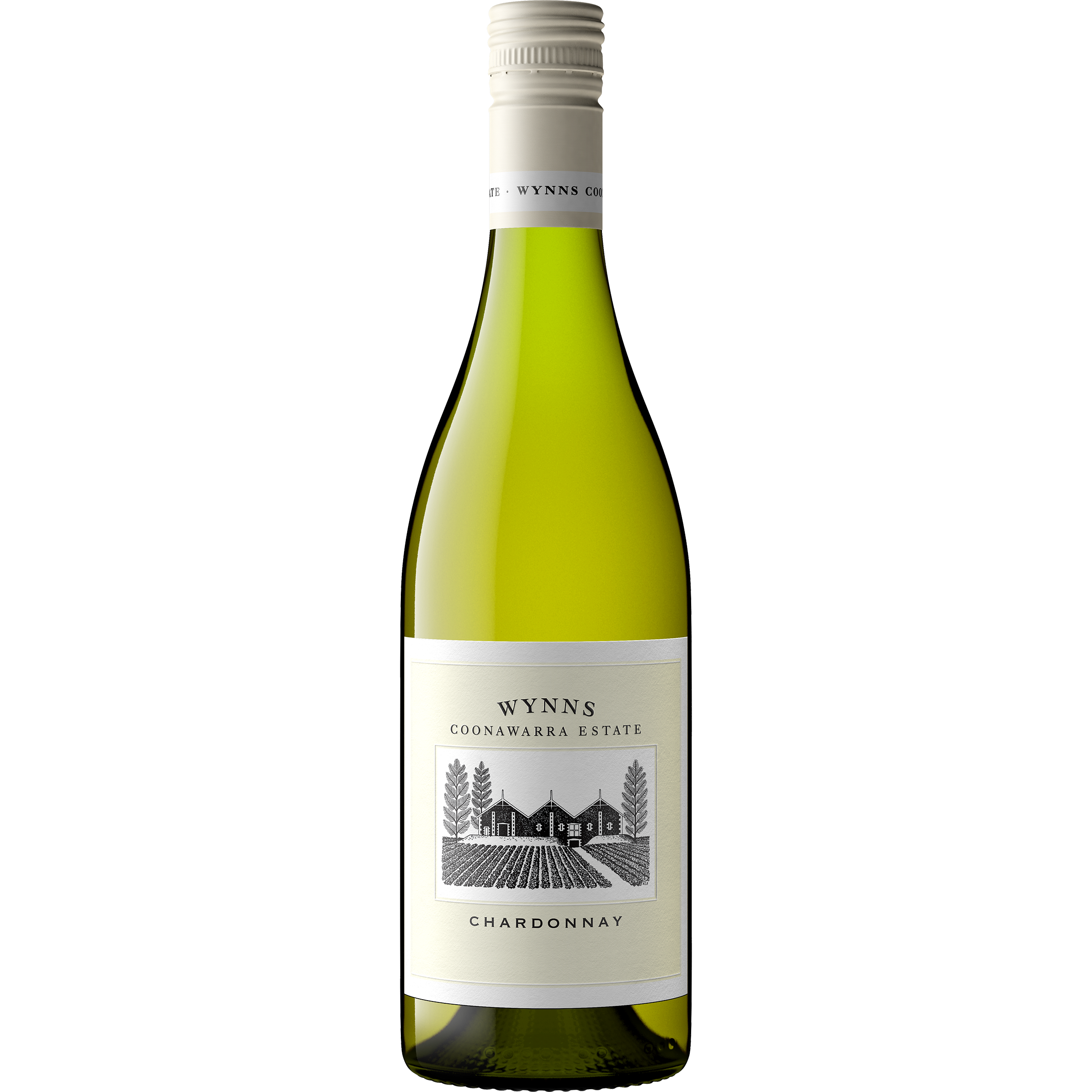 Wynns Chardonnay 2023